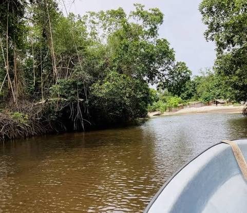 En pirogue dans le parc marin des Mangroves