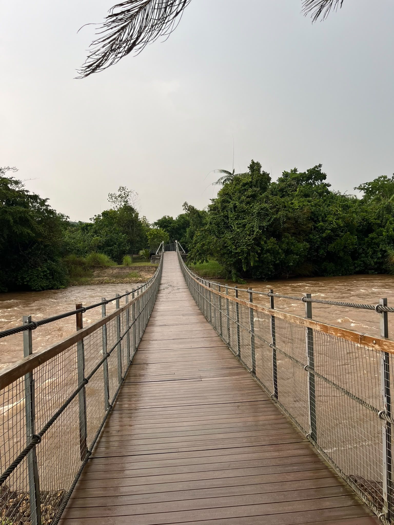 Passerelle suspendue au-dessus de la rivière — © Nzela